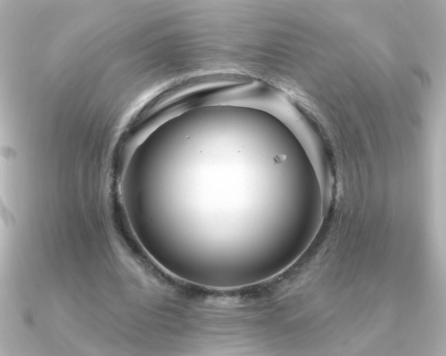 X0000091310440200708101506