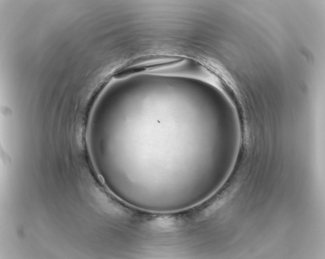 X0000091310441200708101506