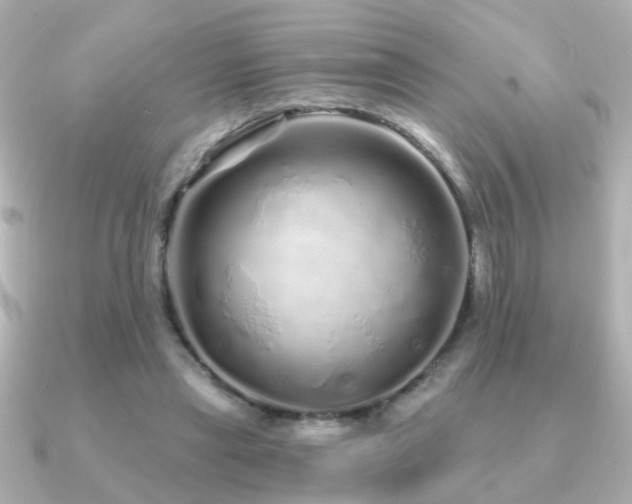 X0000091310445200708101506