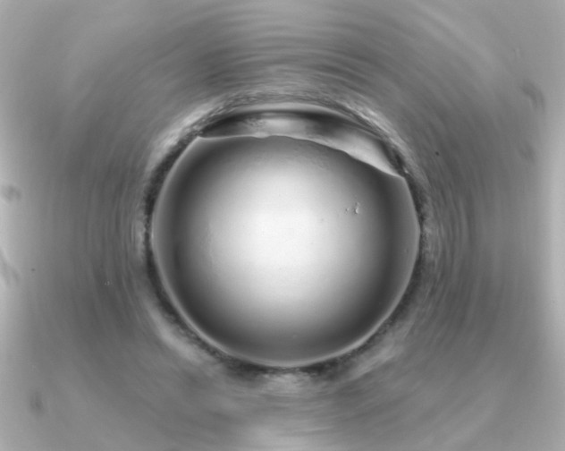 X0000091310446200708101506