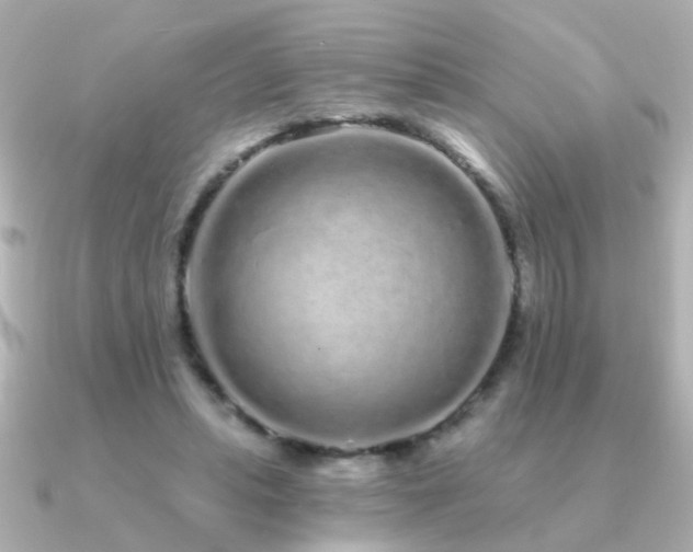 X0000091310447200708101506