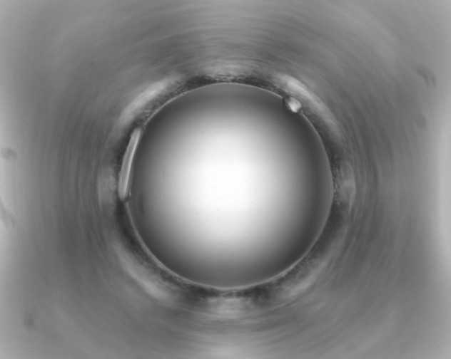 X0000091310448200708101506