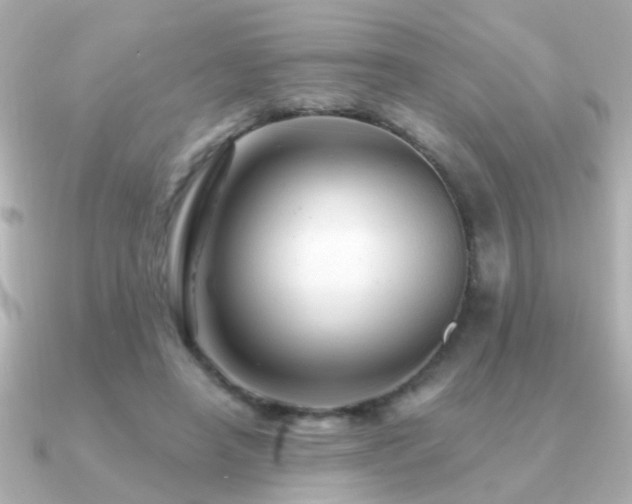 X0000091310450200708101506