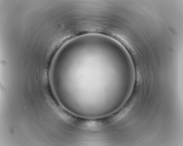 X0000091310453200708101506