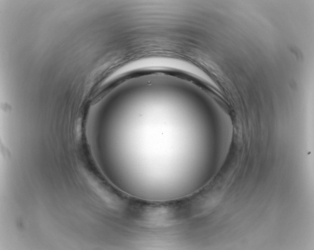 X0000091310454200708101506