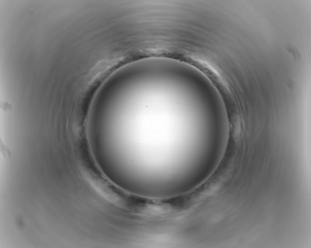 X0000091310455200708101506