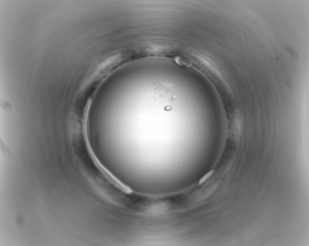 X0000091310456200708101506