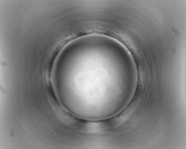 X0000091310457200708101506