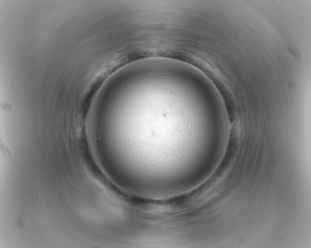 X0000091310458200708101506