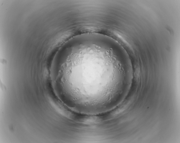 X0000091310459200708101506