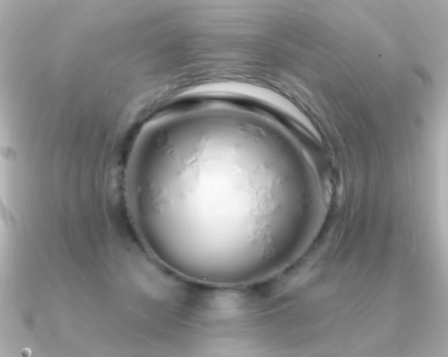 X0000091310462200708101506