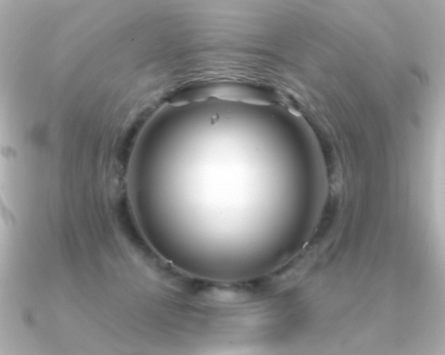 X0000091310464200708101506