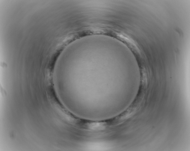 X0000091310465200708101506