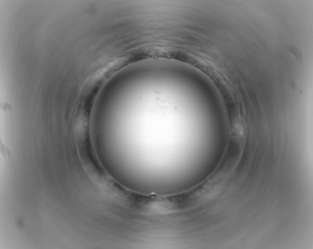 X0000091310468200708101506