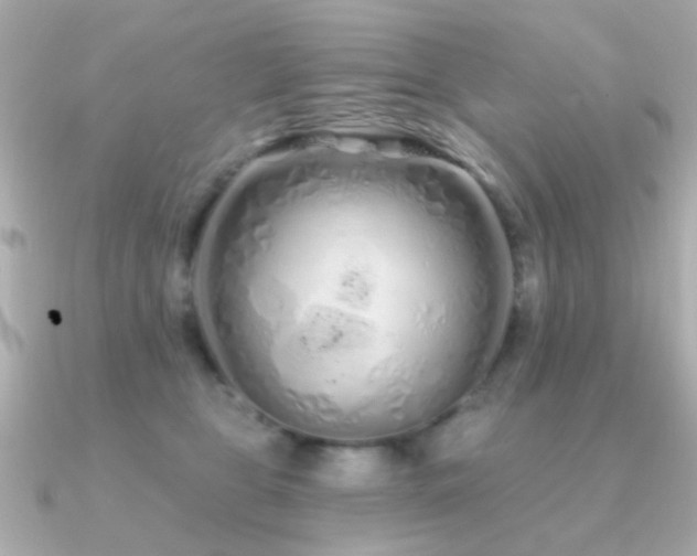 X0000091310469200708101506