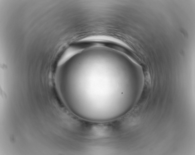 X0000091310470200708101506