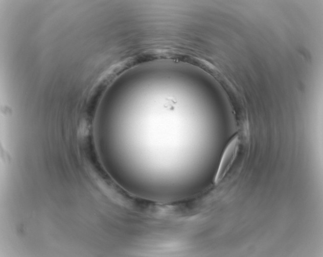 X0000091310472200708101506