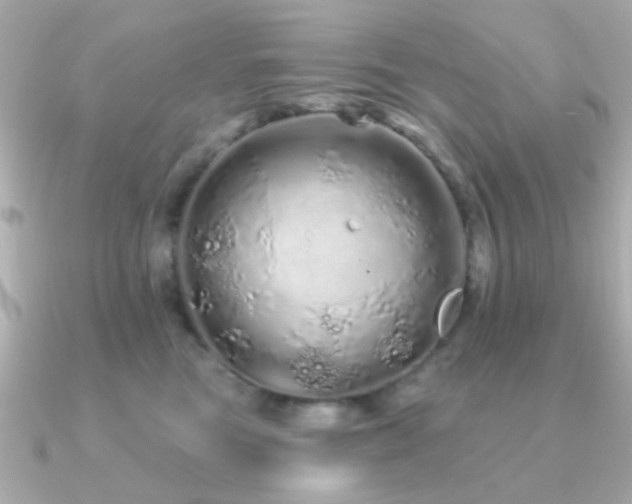 X0000091310473200708101506