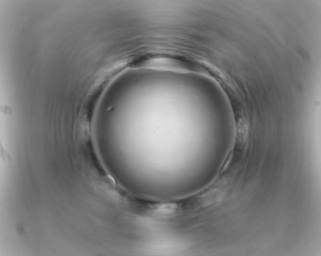 X0000091310474200708101506