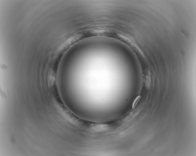 X0000091310476200708101506