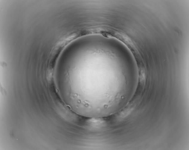 X0000091310477200708101506