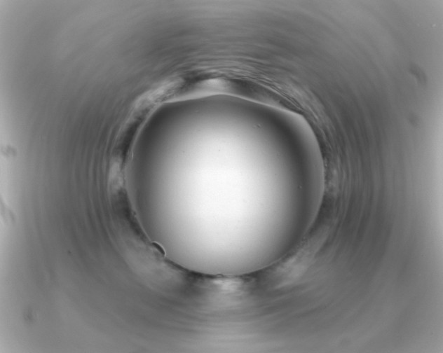 X0000091310478200708101507