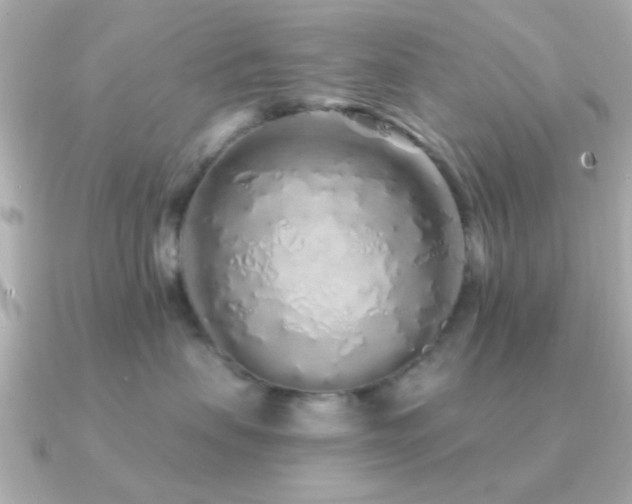 X0000091310479200708101507