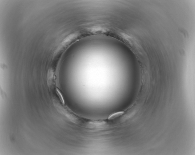 X0000091310480200708101507