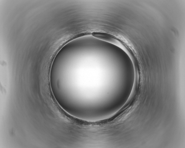 X0000091310481200708101506