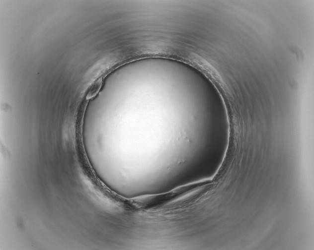 X0000091310482200708101506