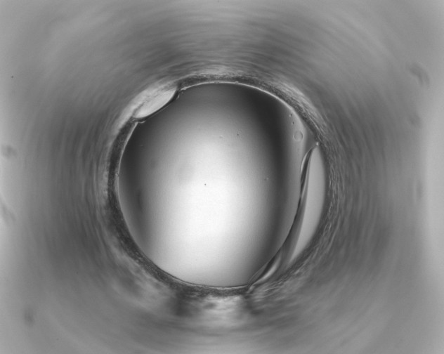 X0000091310484200708101506