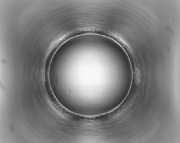 X0000091310486200708101506