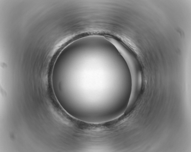 X0000091310488200708101506