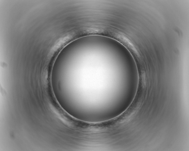 X0000091310490200708101506