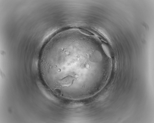 X0000091310491200708101506