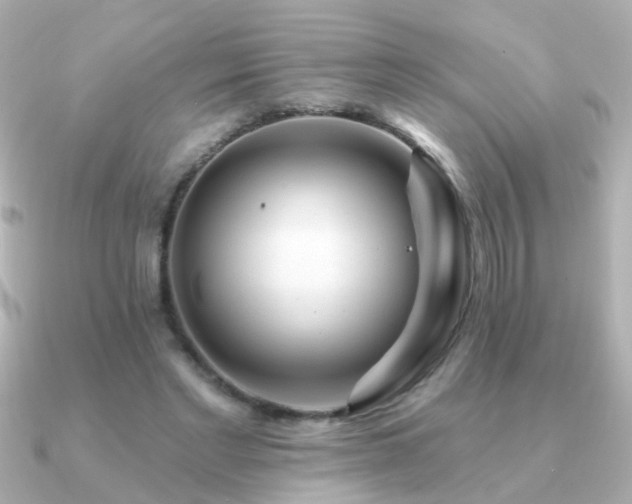 X0000091310493200708101506