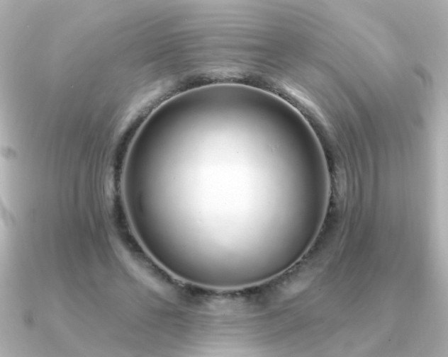 X0000091310494200708101506