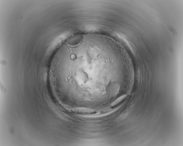 X0000091310495200708101506