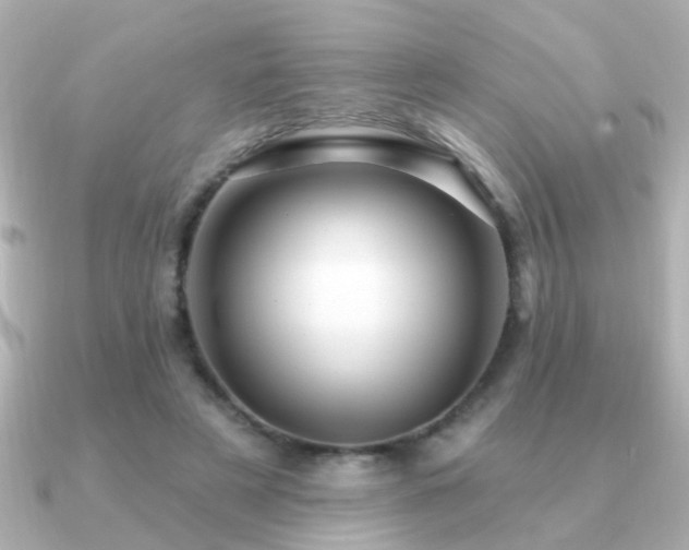 X0000091310497200708101506