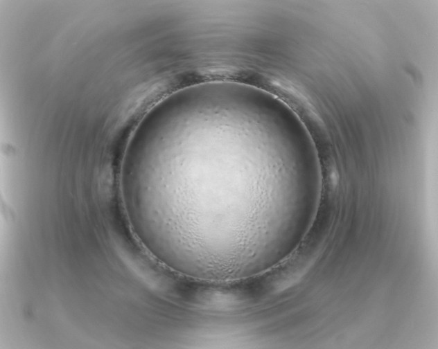 X0000091310498200708101506