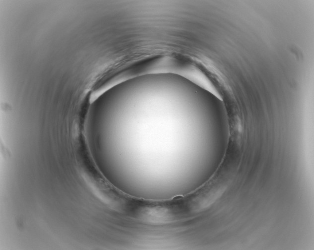 X0000091310500200708101506