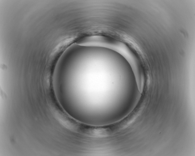 X0000091310501200708101506