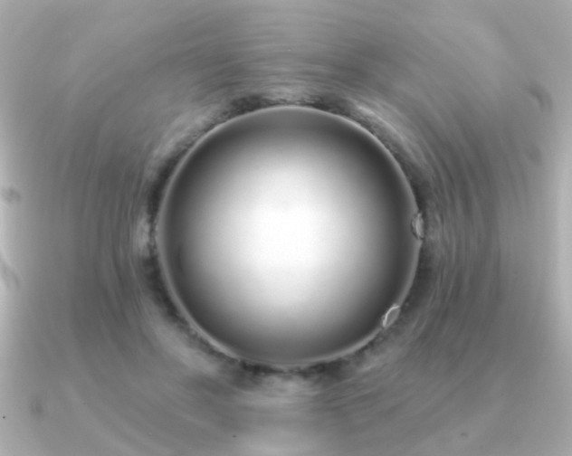 X0000091310502200708101506