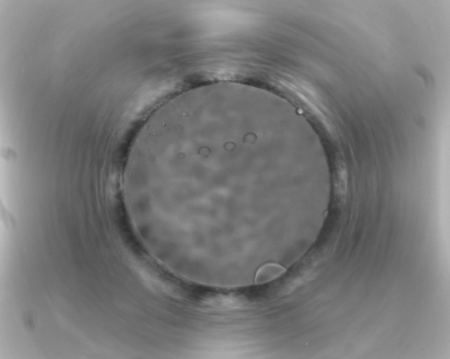 X0000091310503200708101506