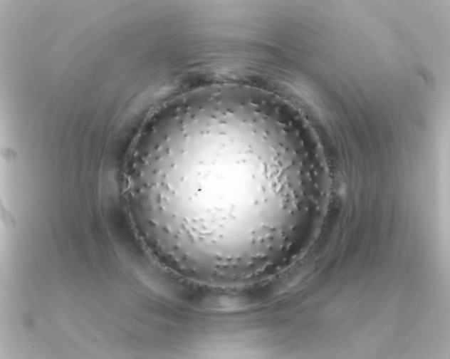 X0000091310506200708101506