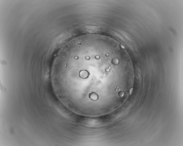 X0000091310507200708101506