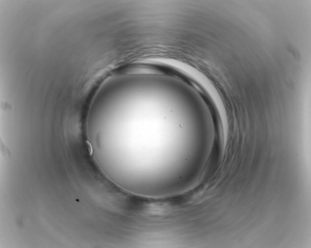 X0000091310508200708101506