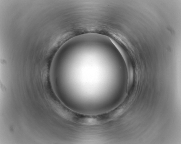 X0000091310509200708101506