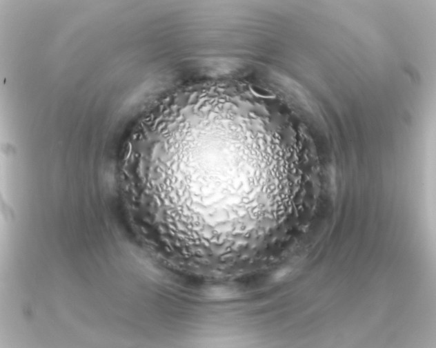 X0000091310510200708101506