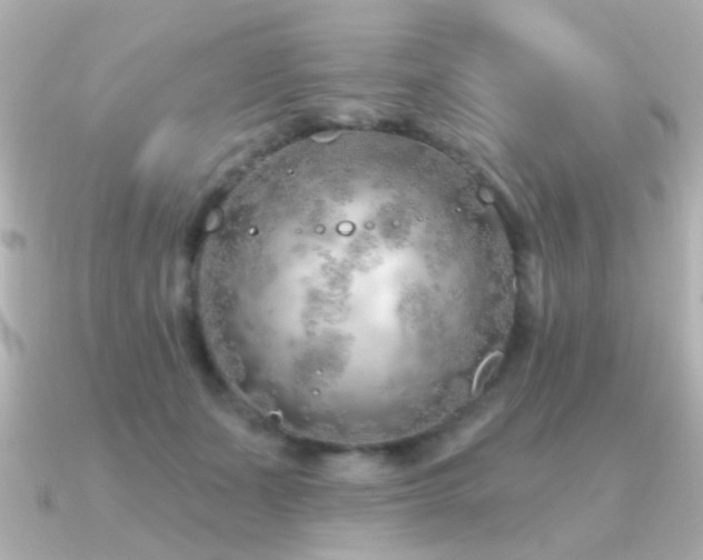 X0000091310511200708101506